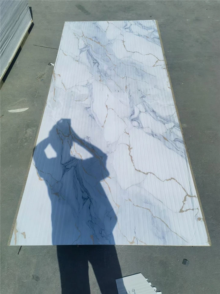 Beautiful Embossed Wall Panel